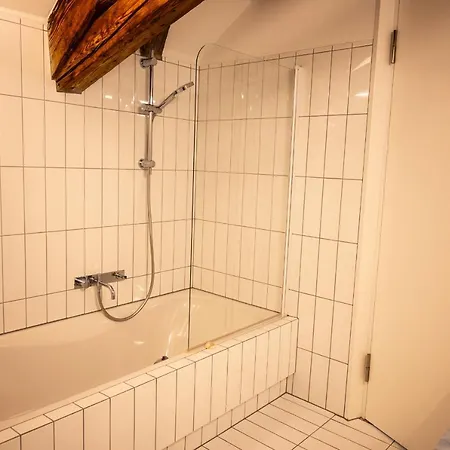 Grosse Dachgeschosswohnung Im Herzen Von