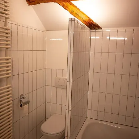 Grosse Dachgeschosswohnung Im Herzen Von
