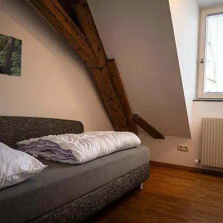 Grosse Dachgeschosswohnung Im Herzen Von