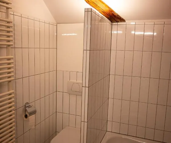 Grosse Dachgeschosswohnung Im Herzen Von